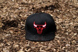 Bulls SB